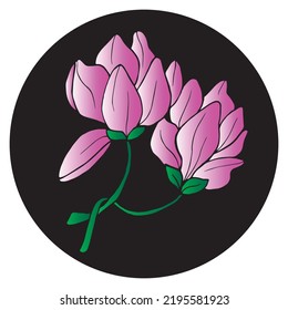 Magnolia flowers in a black circle. Hand drawn vector illustration for cards, invitations, print and posters.