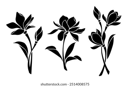 Magnolia flowers. Black silhouettes of magnolia flowers isolated on a white background. Set of vector illustrations. Hand-drawn illustration, not AI