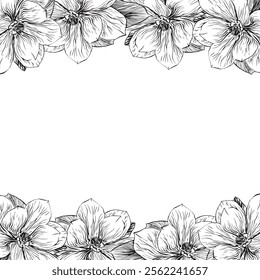 Magnolia flowers border, floral arrangement as a frame for design. Magnolia branch flower. Vector illustration