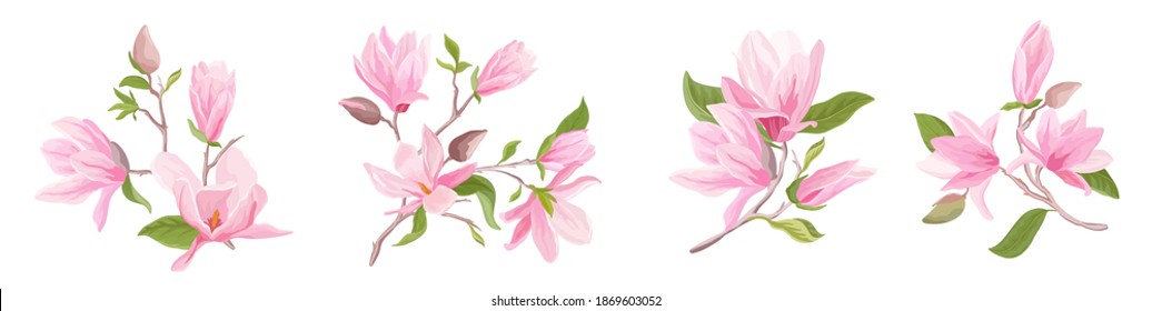 Magnolia flowers bouquet set. Floral spring template of blossom, leaves, branches. Design pastel elements for wedding invitation, summer poster, background, brochure