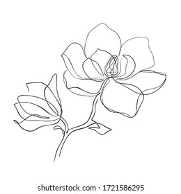 Magnolia flowers continuous line art. Abstract minimal hand drawing sketch. Vector illustration