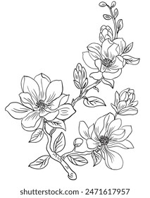 Magnolia Flowers Drawing Line Coloring Book .Hand-drawn vector illustration.