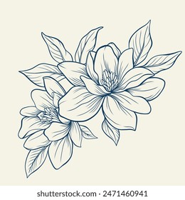 Magnolia flowers drawing with line-art