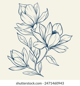 Magnolia flowers drawing with line-art