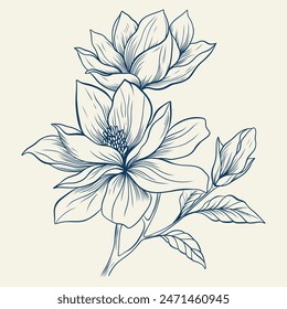 Magnolia flowers drawing with line-art