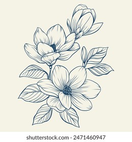 Magnolia flowers drawing with line-art