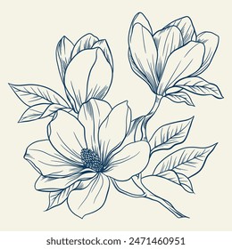 Magnolia flowers drawing with line-art