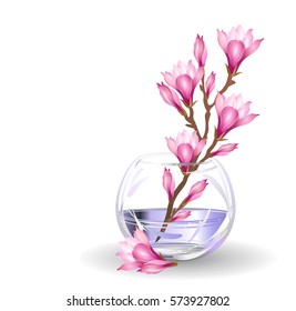 Magnolia flowers. Hand drawn vector brush illustration of blooming magnolia  branch in glass flower bowl on white background. 