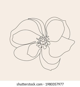 Magnolia flowers illustration. hand drawn continuous line drawing of abstract flower. magnolia icon.
M