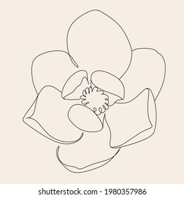 Magnolia flowers illustration. hand drawn continuous line drawing of abstract flower. magnolia icon.