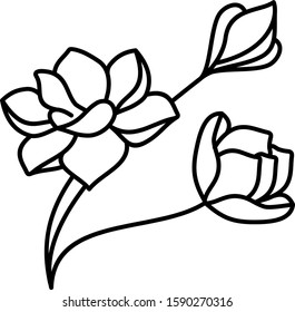 Magnolia Flowers Line Art Icon 