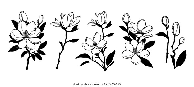 Magnolienblumen. Satz von Magnolienzweigen. Vektorgrafik Schwarze Silhouetten auf einem weißen Hintergrund