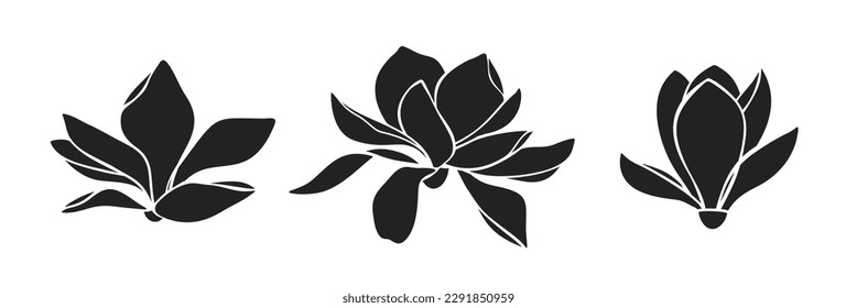 Flores de magnolia. Conjunto de siluetas negras de flores de magnolia aisladas en un fondo blanco. Ilustración del vector