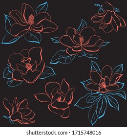 vector de dibujo de las flores magnolias