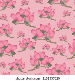 Magnolia flowers vector seamless pattern. Detailed floral vector design illustration.