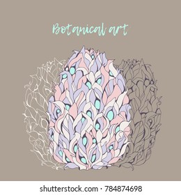 Magnolia fruit. Botanical art.