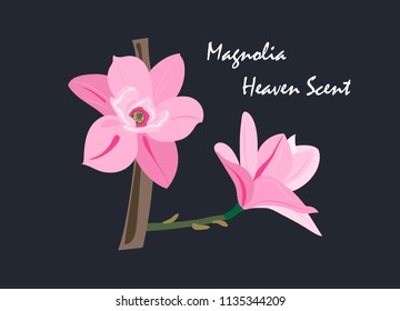 Magnolia Heaven Scent vector