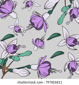 Magnolia Illustration Background