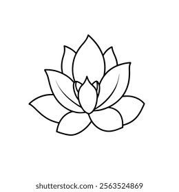 magnolia line art vector on white background