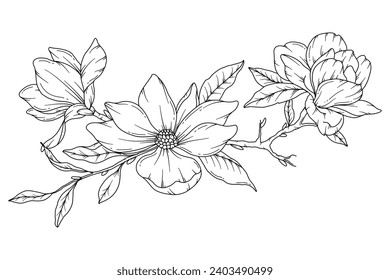 Dibujo de la línea Magnolia. Floral Line Art. Página Coloración de Flores. Página del Libro de Colores con la mano de la flor de Magnolia Dibujando Ilustración. Página de Coloración Botánica. Flores de Line Art