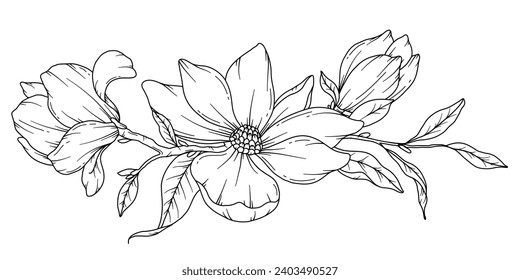 Magnolia Line Drawing. Floral Line art. Flower Coloring Page. Coloring Book Page with Magnolia Flower Hand Drawn Illustration. Botanical Coloring Page. Line Art flowers