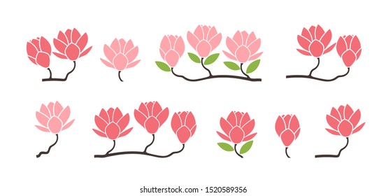 Magnolia logo. Isolated magnolia on white background