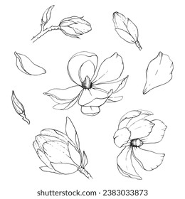 Magnolia petals flowers graphic line poster print black flower botanical botanic art room decor wall design abstract inspiration sketch nature artist inspired spring summer vibe 
