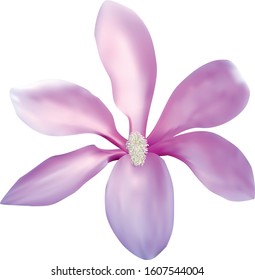 Magnolia realistic vector pink bloom