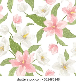 Magnolia sakura hellebore blooming flowers seamless pattern. Pink white petals, green leaves, white background. Detailed floral vector design illustration. Christmas winter rose. Helleborus niger.