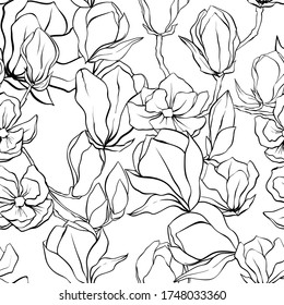 magnolia seamless pattern, hand drawn vector