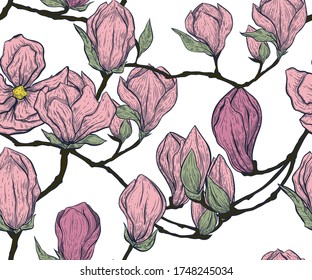 patrón sin soldadura magnolia, vector dibujado a mano