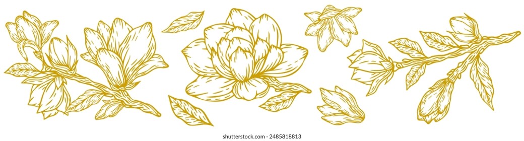 Magnolie, Blumensatz und Blätter, Vektorillustration, handgezeichnet in Goldfarbe. Vektorgrafik Magnolie für Hintergrund, Textur, Wrappermuster, Rahmen oder Rahmen