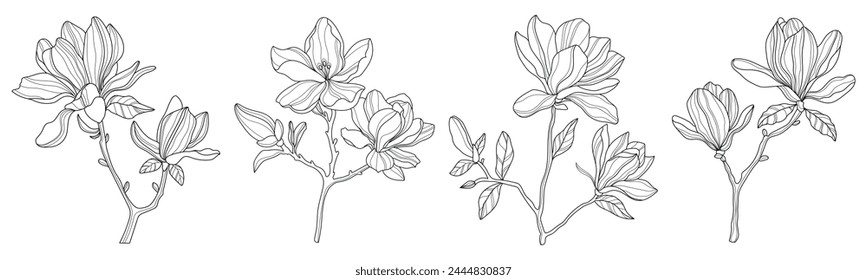 
Magnolia set. Flowers. Linear flowers. Botany. Abstract linear magnolias. Vector illustration of magnolias. Flower sketches for tattooing. Floral coloring page