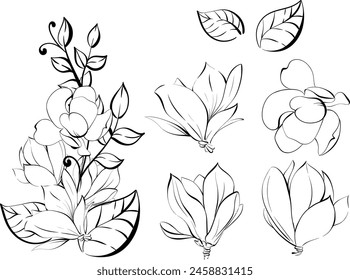 Magnolia set, vector clipart and pattern. Spring clipart, design element in romantic style. Clipart for design in the style of Paris, France