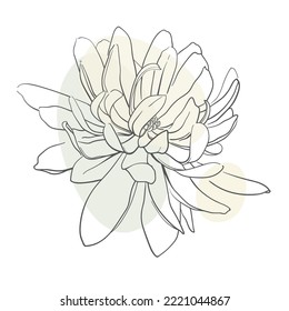Magnolia con forma sobre fondo blanco. Arte de línea floral. Boda elegante de línea continua. Ilustración del vector