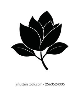 magnolia silhouette vector on white background