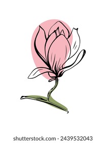 Magnolia in sketch style with abstract color shapes, hand-drawn isolated on white background. Floral sketch for print designs, signage, flower shops, logos in black and white.