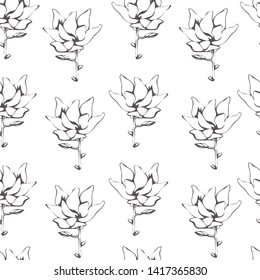 Magnolia. Sketched flower print. Trendy Seamless background. Floral Seamless Patterns
