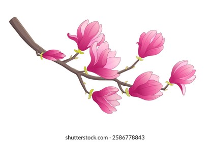 Magnolia spring flowers blooming twig. Cute tree branch blossom pink petals. Springtime Easter design element isolated. Decorative garden April plant. Bright cartoon vector illustration with line art.