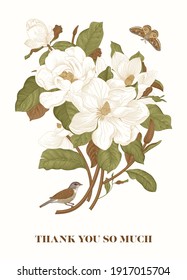 Magnolia. Spring here. Vector vintage botanical illustration. Thank you. Green and brown
