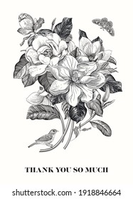 Magnolia. Spring here. Vector vintage botanical illustration. Thank you. Black and white