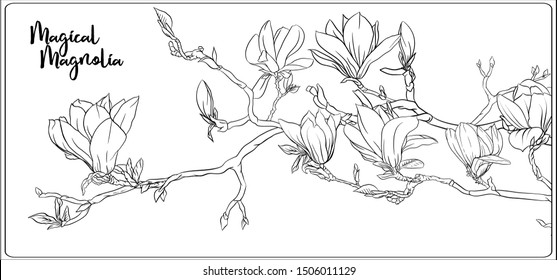 Magnolia Tree Branch Stock Illustrations Images Vectors Shutterstock