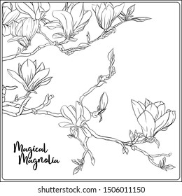 Magnolia tree branch with flowers. Coloring page for the adult coloring book. Outline hand drawing vector illustration.	