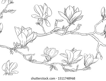 Magnolia Tree Branch With Flowers. Seamless Pattern, Background. Outline Hand Drawing Vector Illustration.	