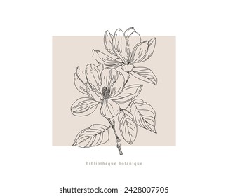Magnolia tree branch spring flowers, abstract floral sketch art, hand drawn texture pencil,  botanical illustration
