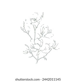 Magnolia tree branch spring flowers, abstract floral sketch art, hand drawn texture pencil,  botanical illustration