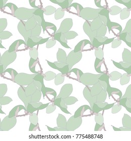 Magnolia. Vector illustration.Seamless pattern.