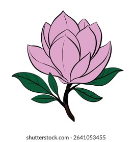 Magnolia Vector on White Background