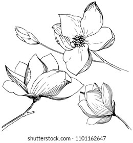 Magnolia in a vector style isolated. Full name of the plant: magnolia. Vector flower for background, texture, wrapper pattern, frame or border.