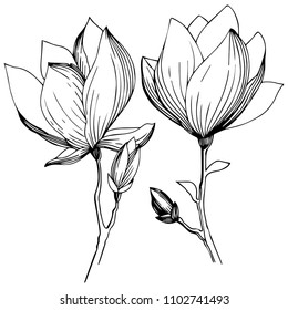 Magnolia in a vector style isolated. Full name of the plant: magnolia. Vector flower for background, texture, wrapper pattern, frame or border.